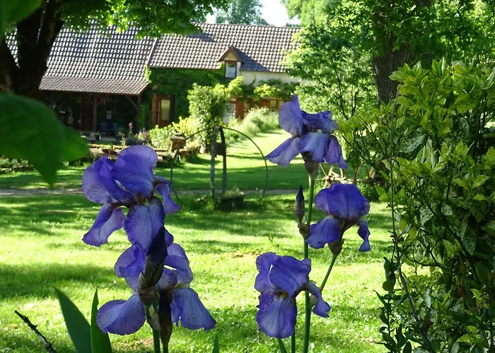 Périgourdin - 3 Saint-Genies